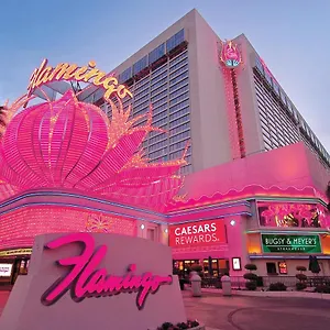 Flamingo Vegas & Casino Rezort